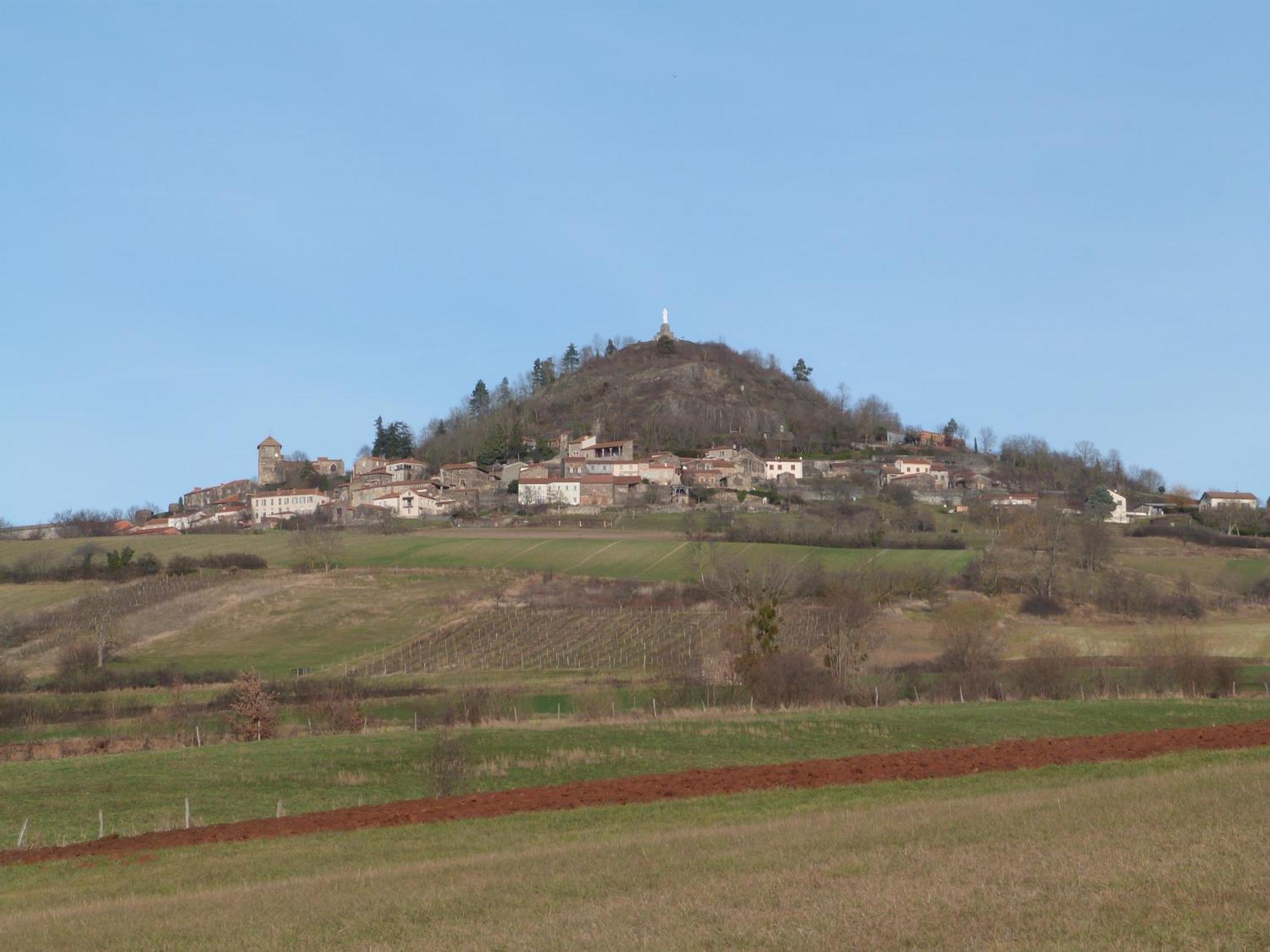 Chateau Des Aiguilles Saint-Rémy-de-Chargnat Eksteriør bilde